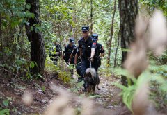 <b>冲动的呼叫招呼声让正在场救援人员无</b>